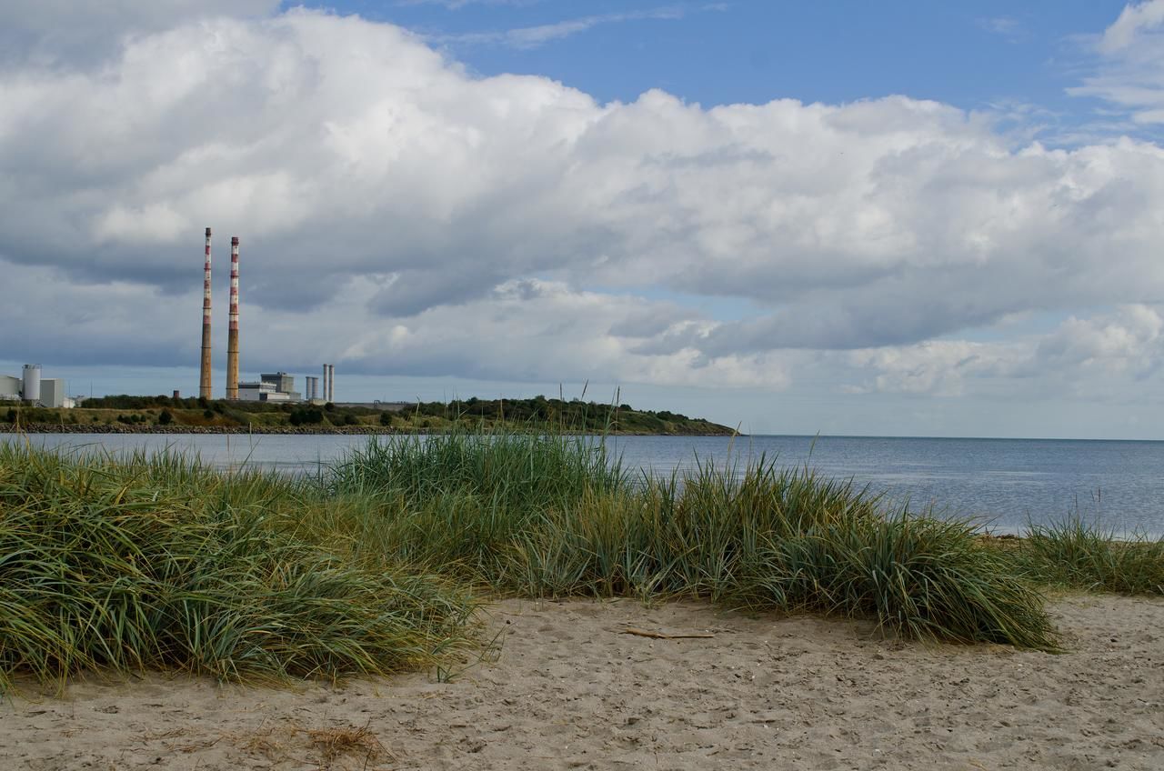 Гостевой дом Beach House B&B Дублин-4